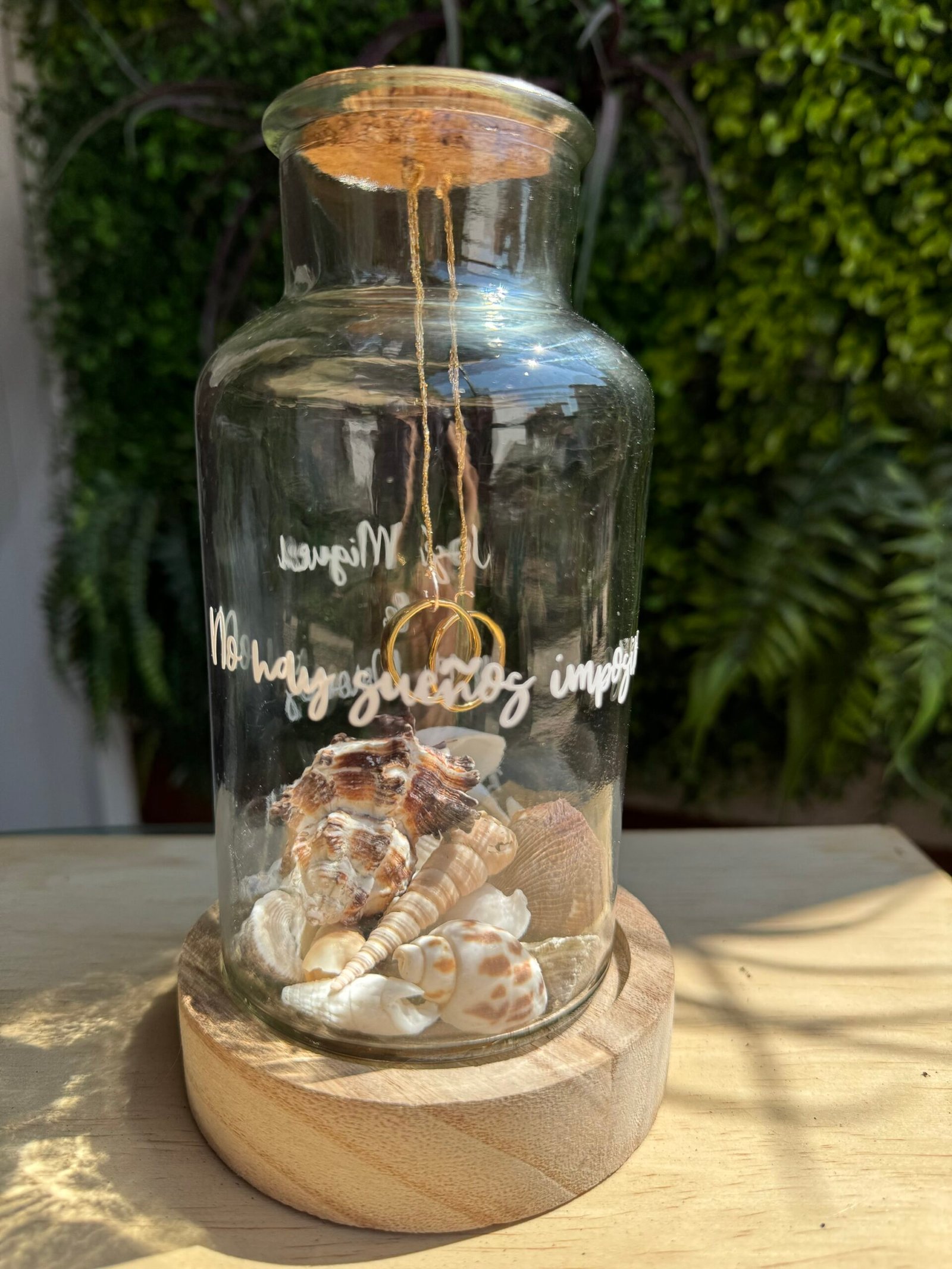 Portaalianzas Caracola - Imagen 4