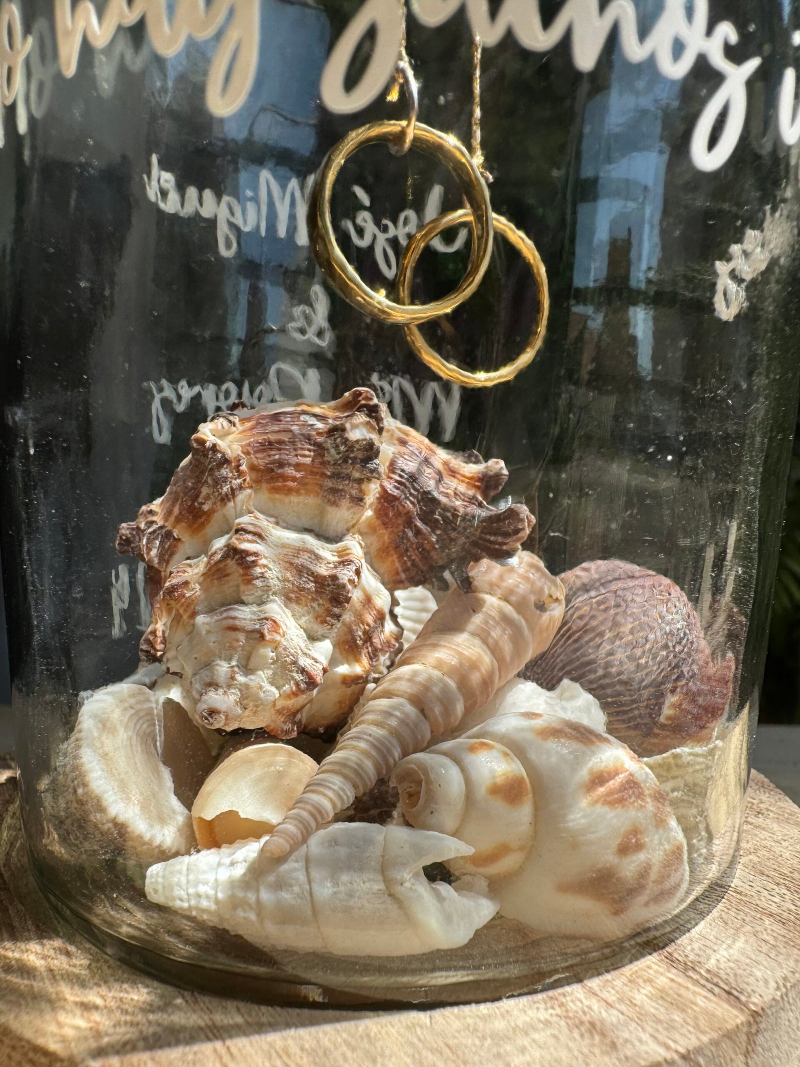 Portaalianzas Caracola